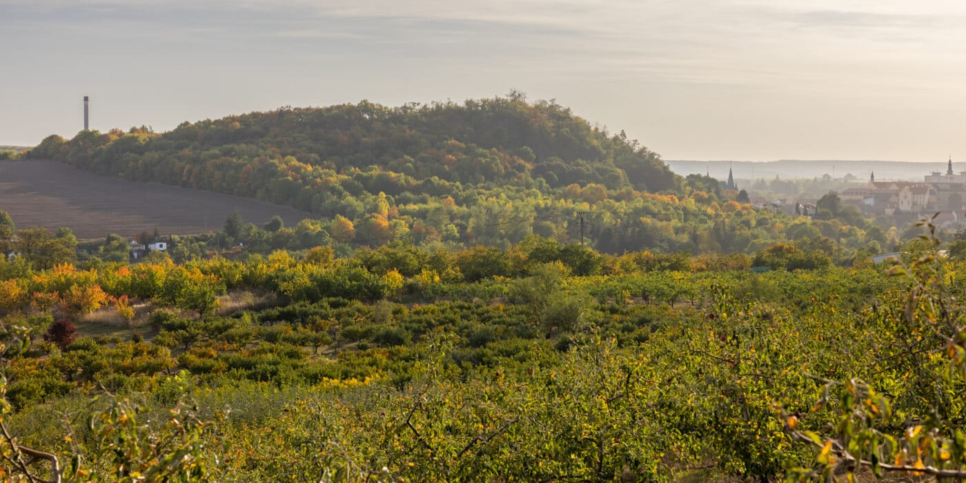 Vítejte ve Slaném: Slánská hora na začátku podzimu