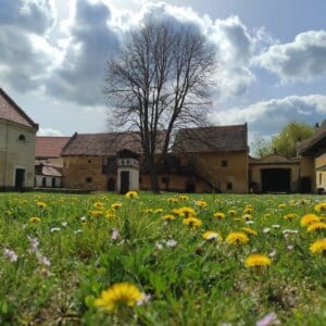 Muzeum v Třebízi otevřeno od 1. května